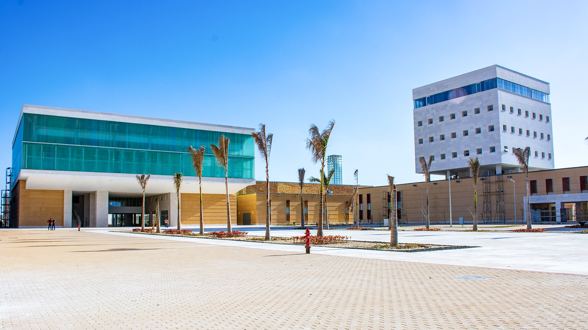 Egypt Japan University of Science & Technology (E-JUST) 1